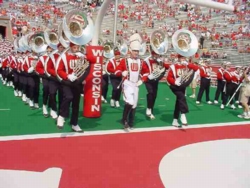 Die Badger Band