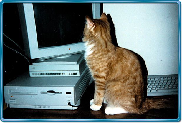 Kelson at computer